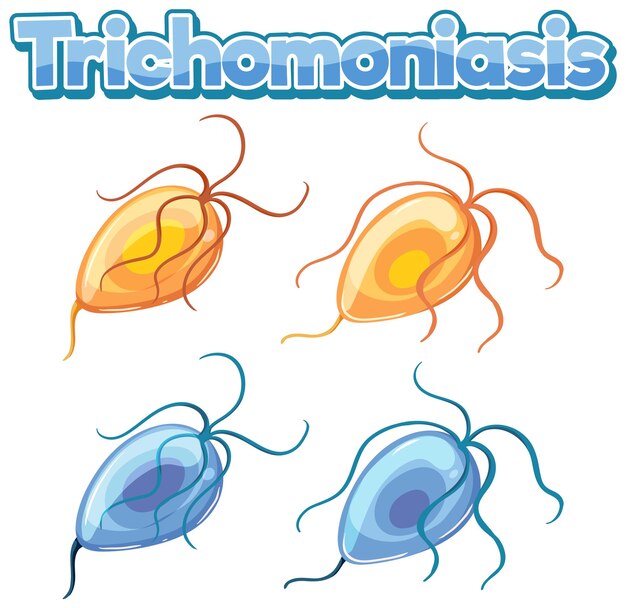 Trichomonas vaginalis 원충 기생충