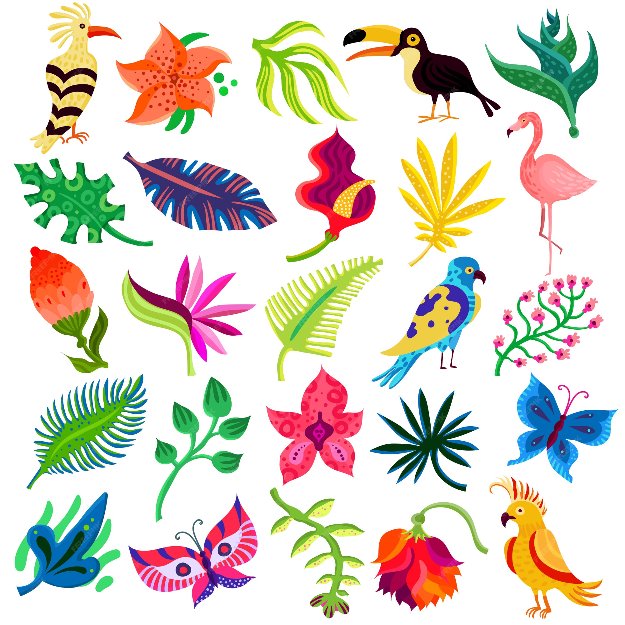 Free Vector | Troipcal flora and fauna