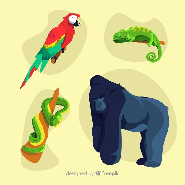 Tropical animal collection flat design