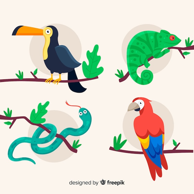 Tropical animal collection flat design