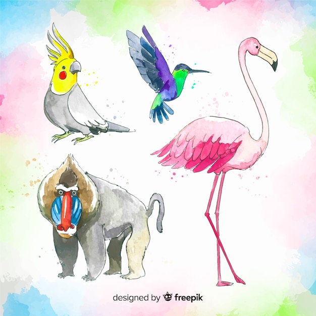 Tropical animal collection watercolor style