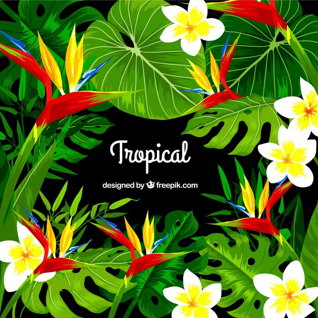 Tropical background design