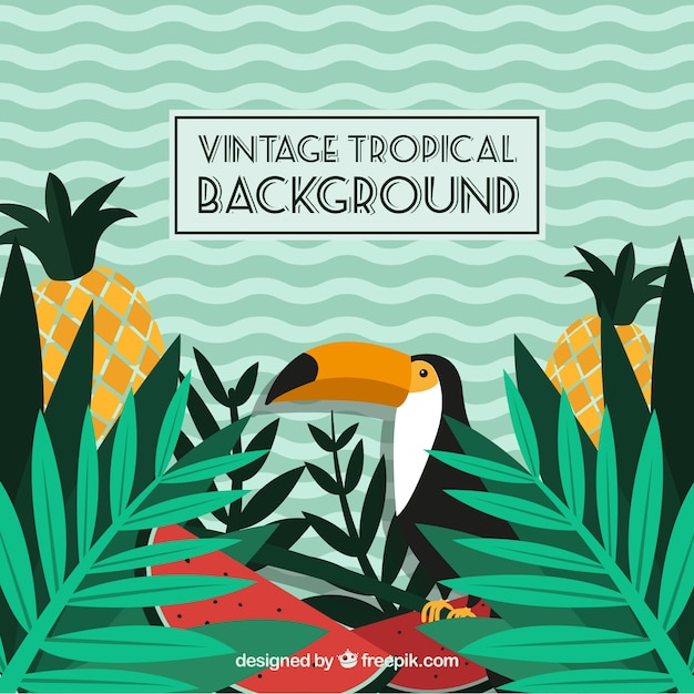 Tropical background in vintage style