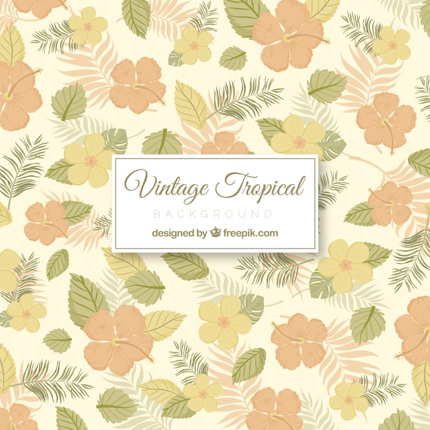 Tropical background in vintage style