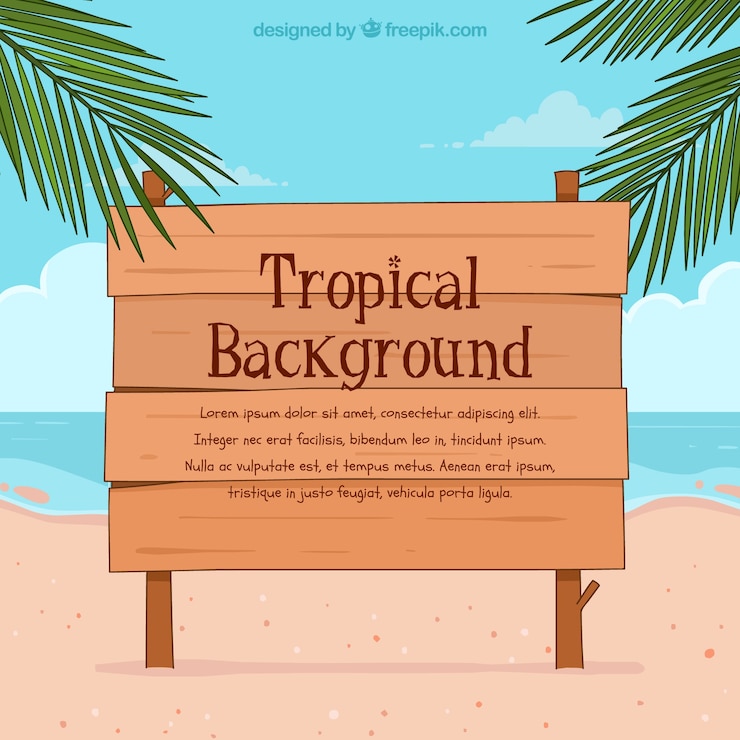 Free Vector tropical background with beach view