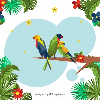freepik from Freepik: Tropical background with birds and plants