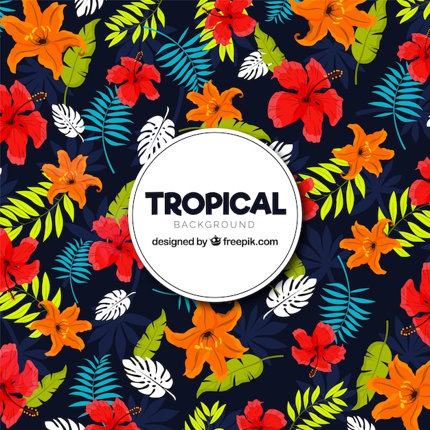 Tropical background with different leaves