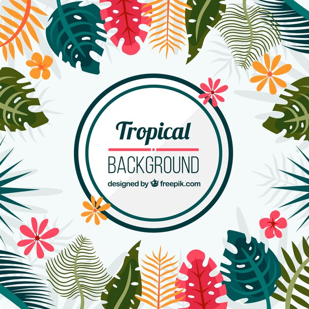 Tropical background with different leaves