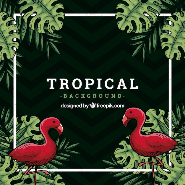 Tropical background with flamingos