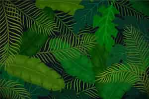 Free vector tropical background with green leaves