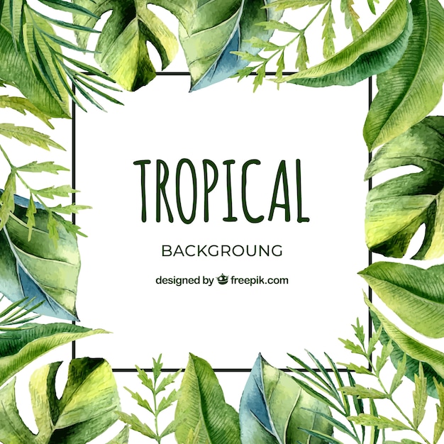 Tropical background with leaves in watercolor style