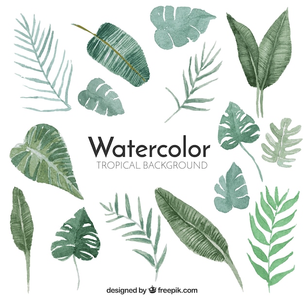 Tropical background with leaves in watercolor style