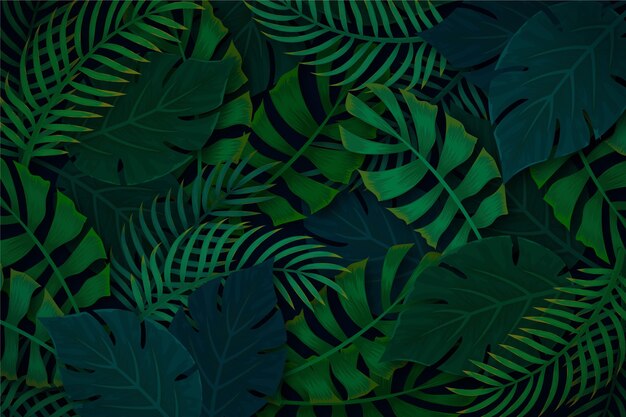 Tropical background with plant vegetation