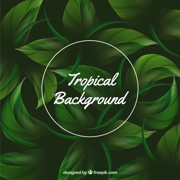 Тропический фон с реалистичными растениями