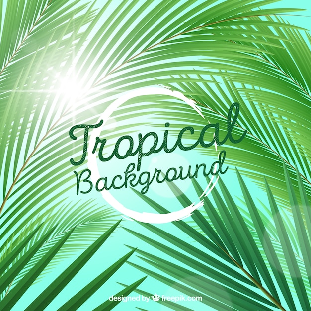 Tropical background with realistic plants