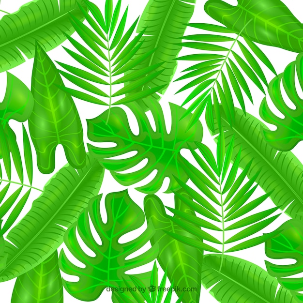 Tropical background with realistic plants