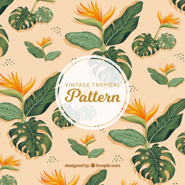 Download Free Tropical Background With Watercolor Leaves And Flowers Svg Dxf Eps Png Download Free Svg Files Create Your Diy Projects