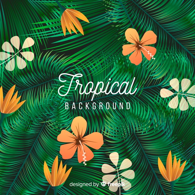 Tropical background