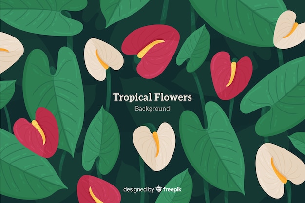 Free vector tropical background