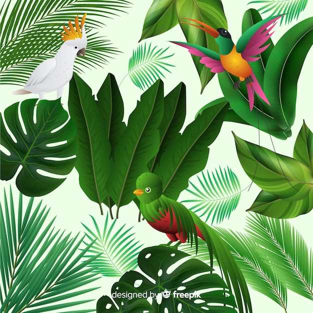 Free vector tropical background