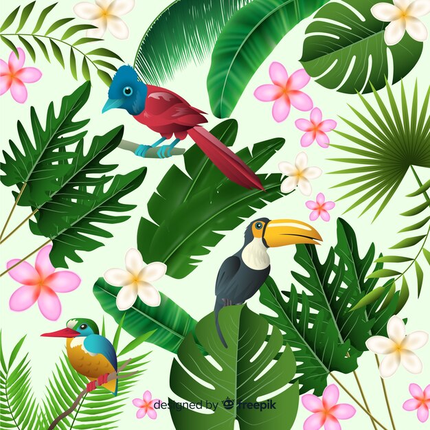 Tropical background