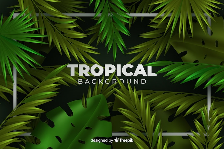 Free Vector tropical background