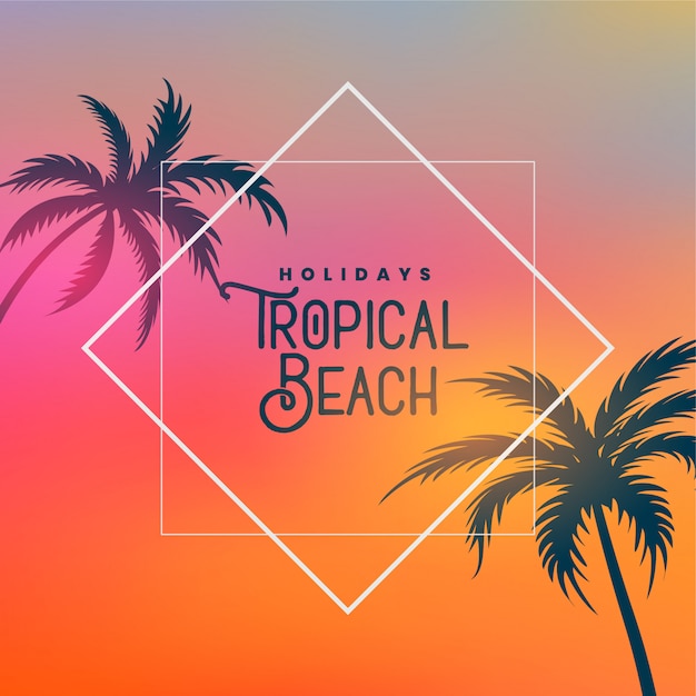 Tropical beach background with palm trees