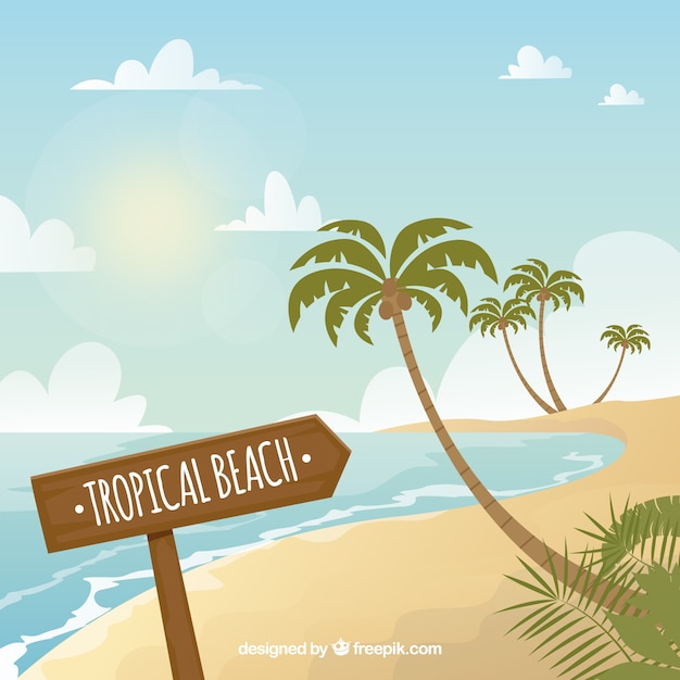 Free vector tropical beach background with palm trees