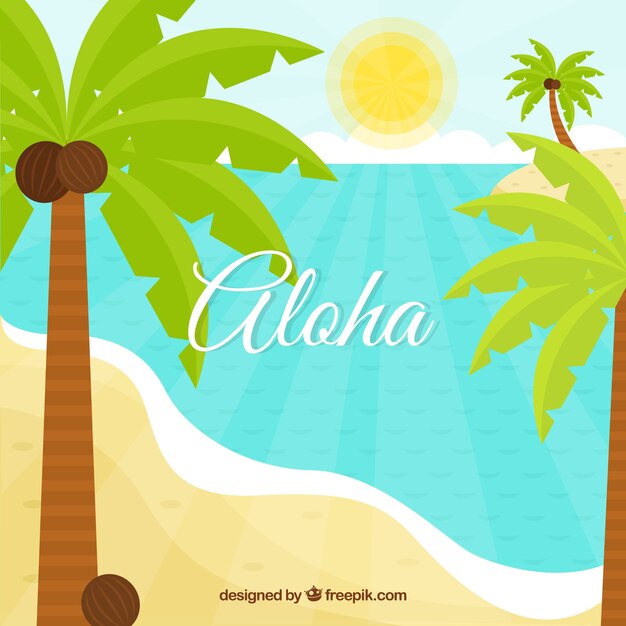 Tropical beach background with palms