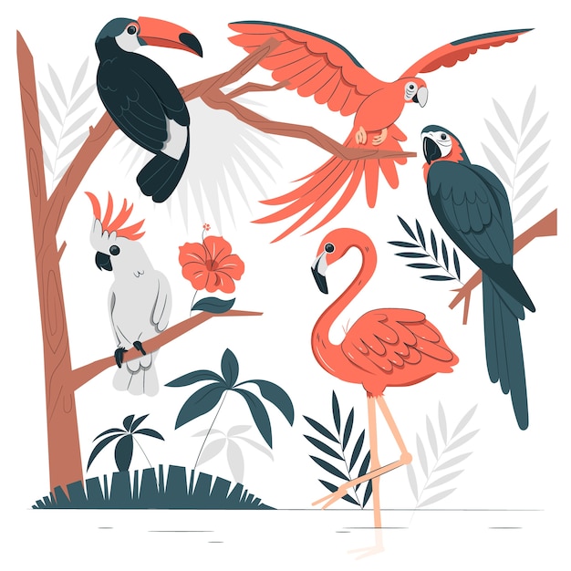 Free vector tropical birds concept illustration