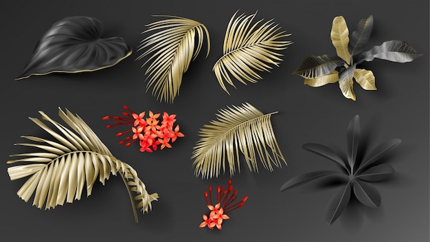 Free vector tropical black and gold leaves set