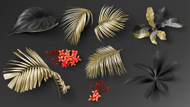 Tropical black and gold leaves set