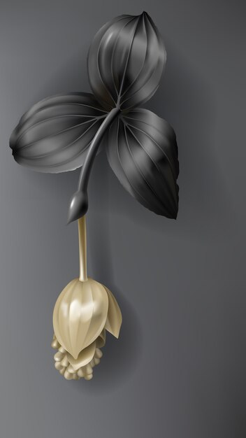 Тропический черный и золотой цветок Medinilla на темном