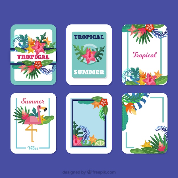 Free vector tropical card collection