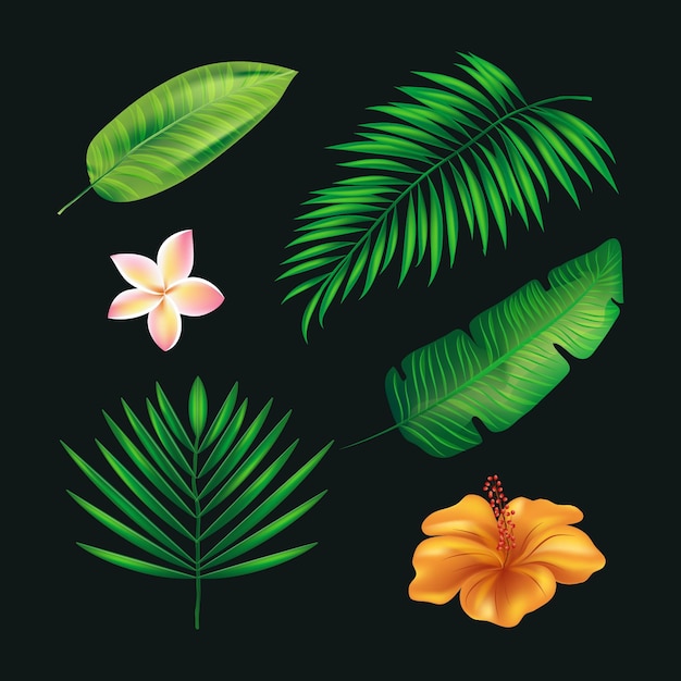 Free vector tropical collection of flowers and leaves