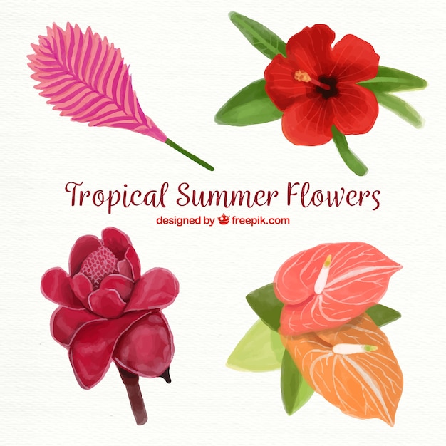 Free vector tropical collection with flowers in warm colors