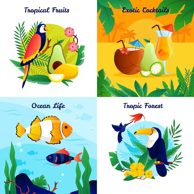 Free vector tropical design concept with fruits exotic cocktails ocean life vector illustration