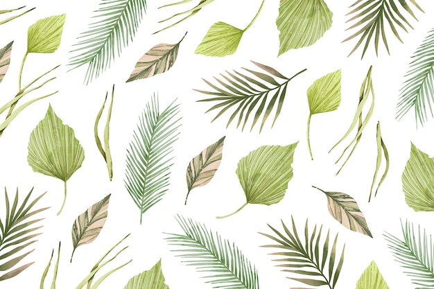 Free vector tropical design leaves collection