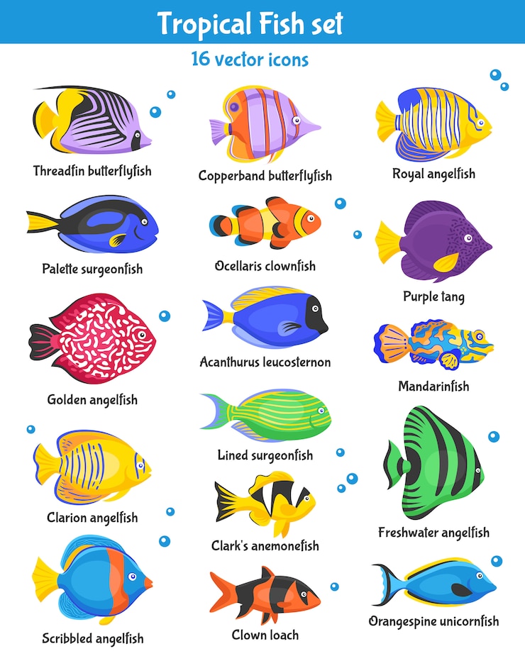 Free Vector tropical fish icons set 