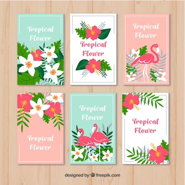 Tropical flamingo cards