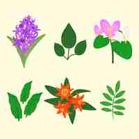 Бесплатное векторное изображение Коллекция тропических цветов и листьев