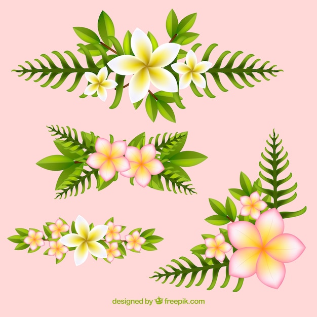 Vettore gratuito elementi decorativi floreali tropicali