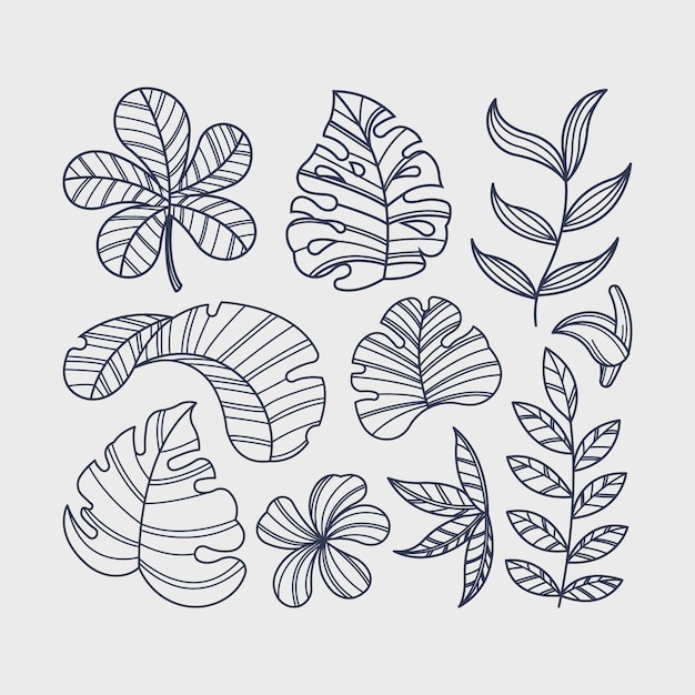 Tropical flower and leaf collection theme