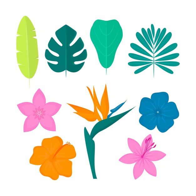 Tropical flower and leaf collection