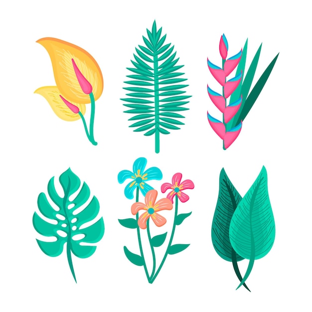 Tropical flower and leaf collection