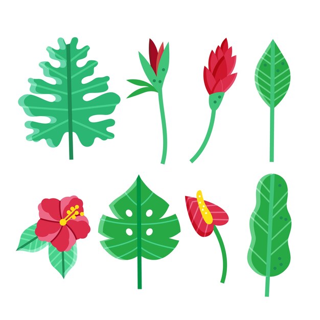 Tropical flower and leaf collection