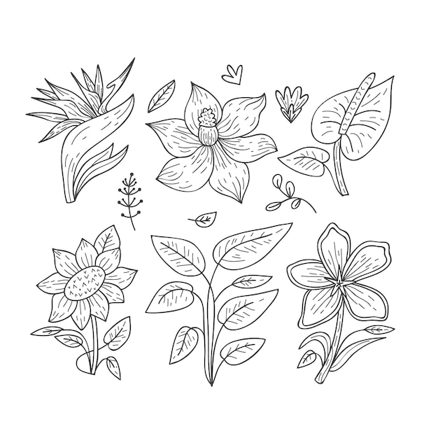 Tropical flower and leaf collection