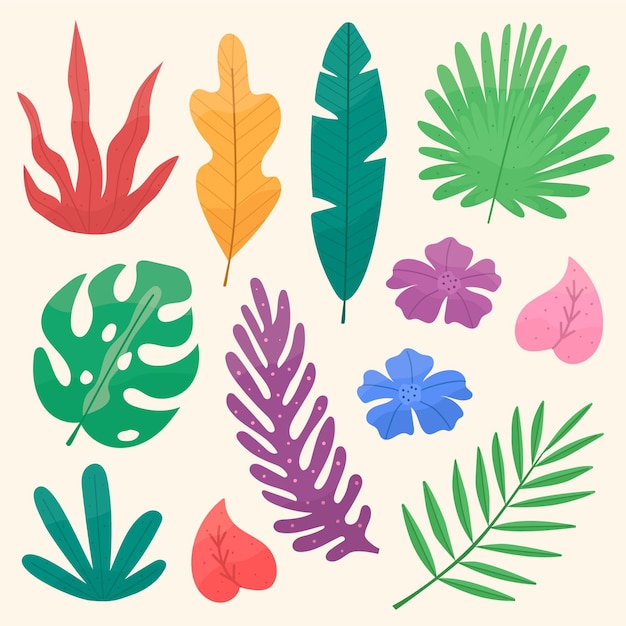 Tropical flower and leaf collection