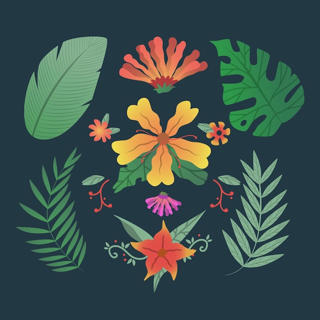 Коллекция тропических цветов и листьев