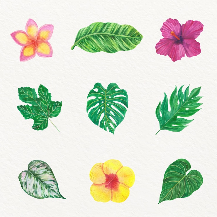 Free Vector tropical flower and leaf collection